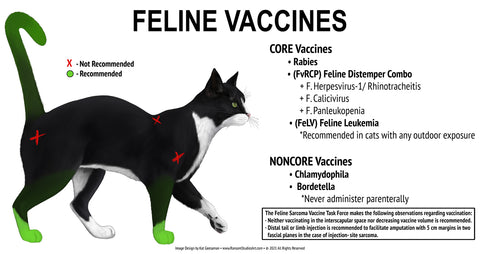 ALL USA Feline Vaccines Wall Decal