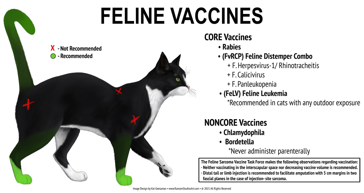 tragedie slids Vågn op Feline Vaccines Poster – Ransom Studios