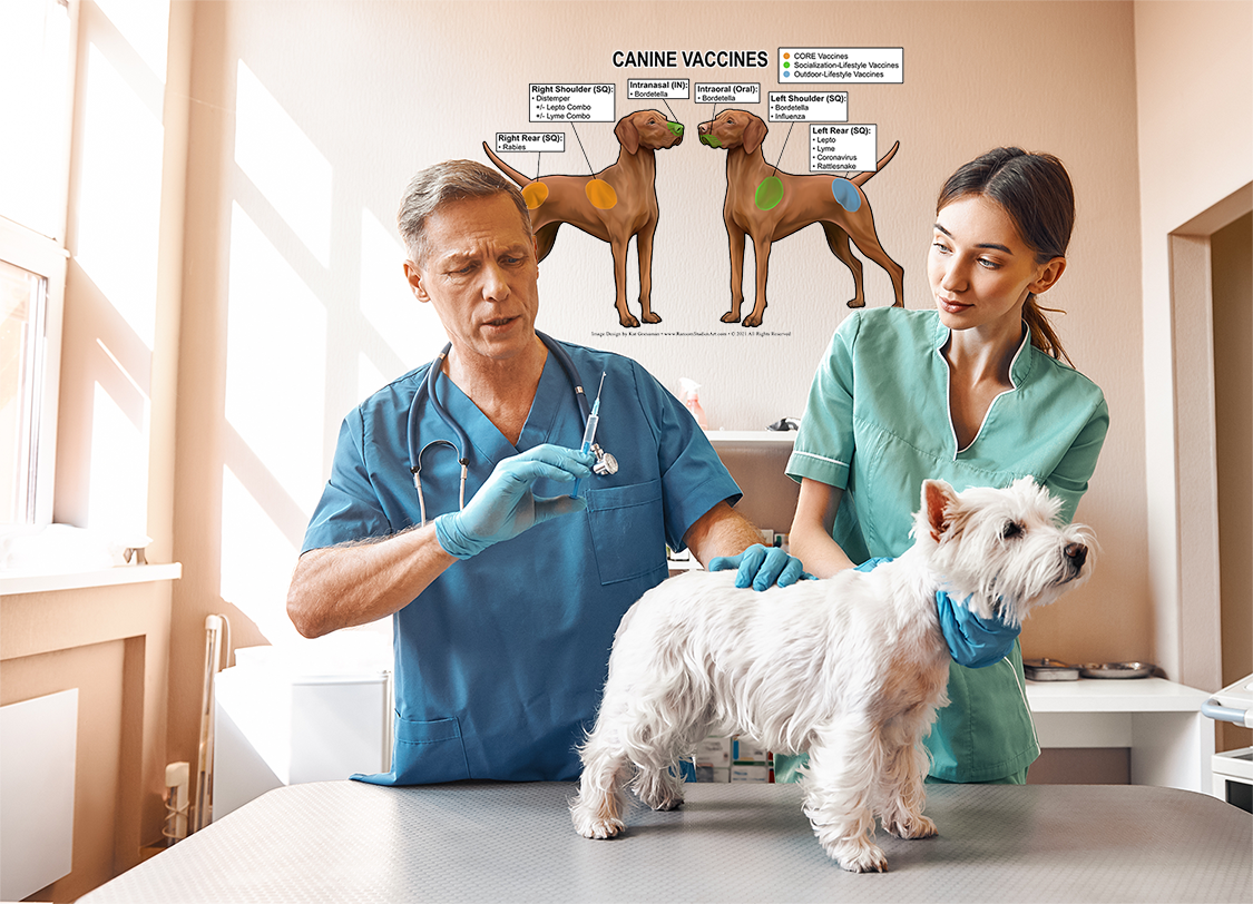 Fvrcp online intranasal vaccine