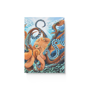 Nautical Curiosity Journal