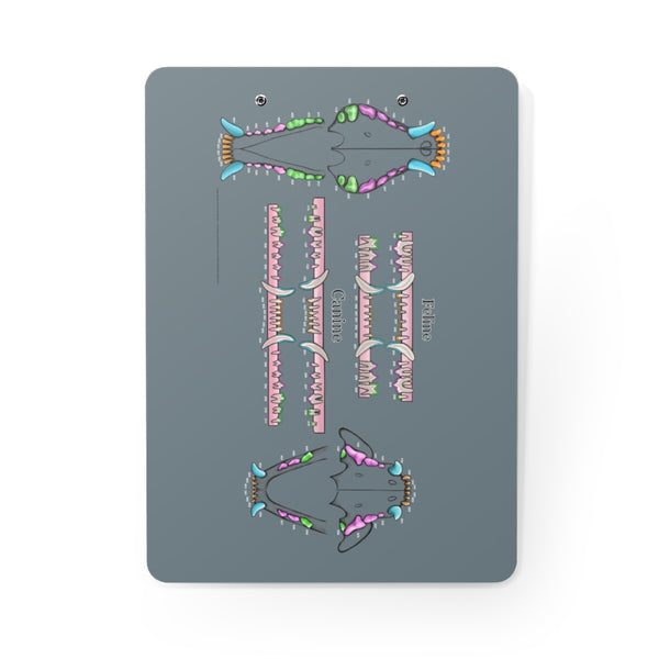 Dental Chart Clipboard