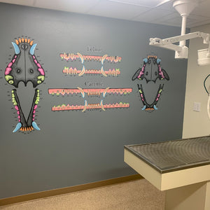 FELINE & CANINE DENTAL CHART MURAL