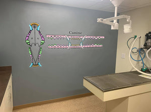 Canine-Only Dental Chart (Wall Decal)