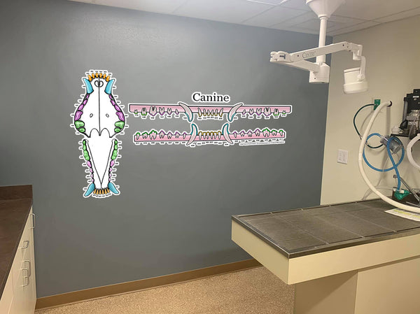 Canine-Only Dental Chart (Wall Decal)