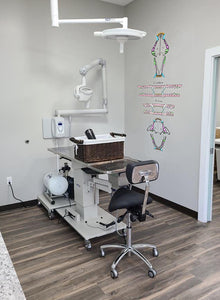Vertical Feline & Canine Dental Chart (Wall Decal)