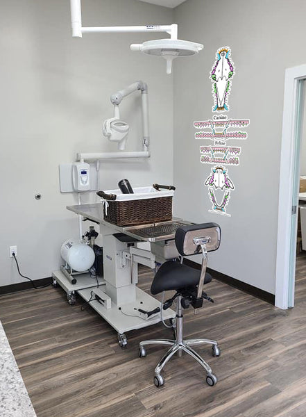 Vertical Feline & Canine Dental Chart (Wall Decal)