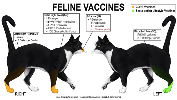 Feline USA Vaccine Chart (Wall Decal)