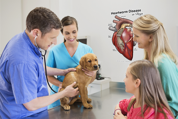 Heartworm Decal