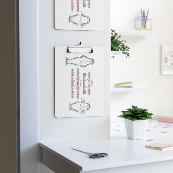 Dental Chart Clipboard