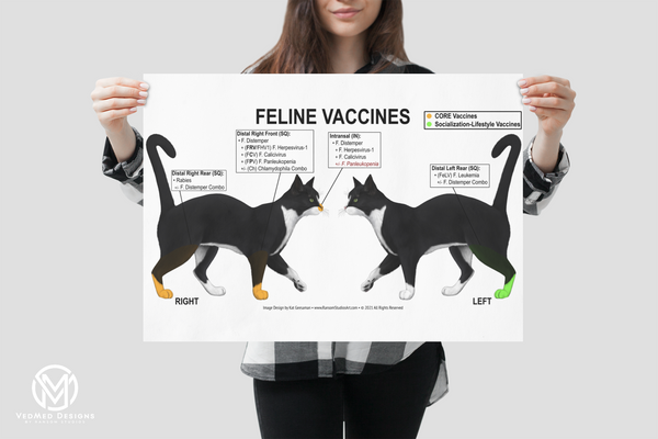 Feline Vaccine Location Poster