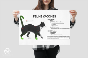 Feline Vaccines Poster