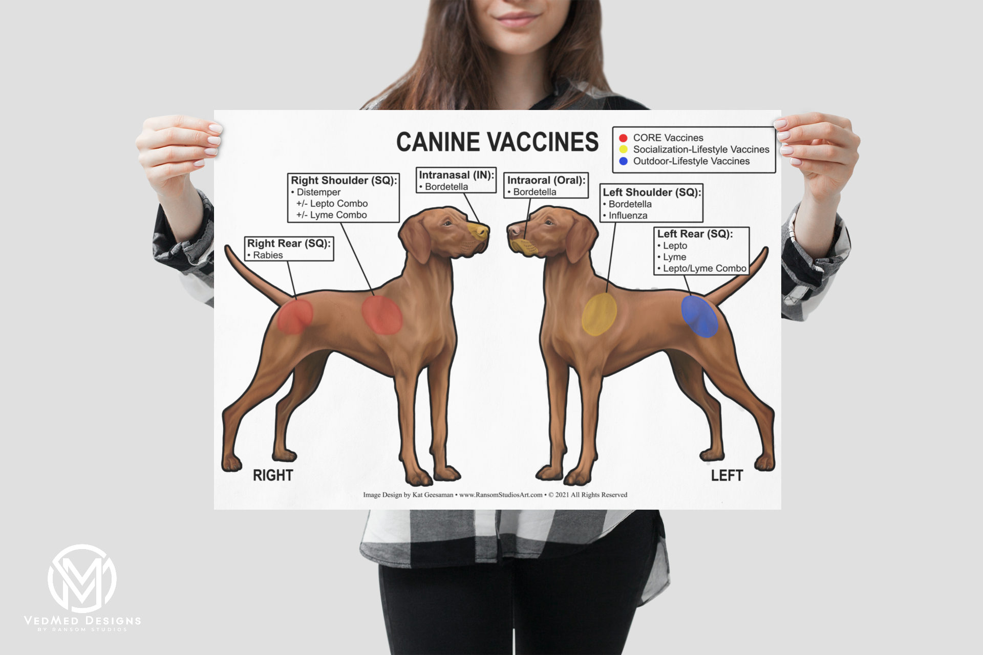 Canine Vaccine Poster