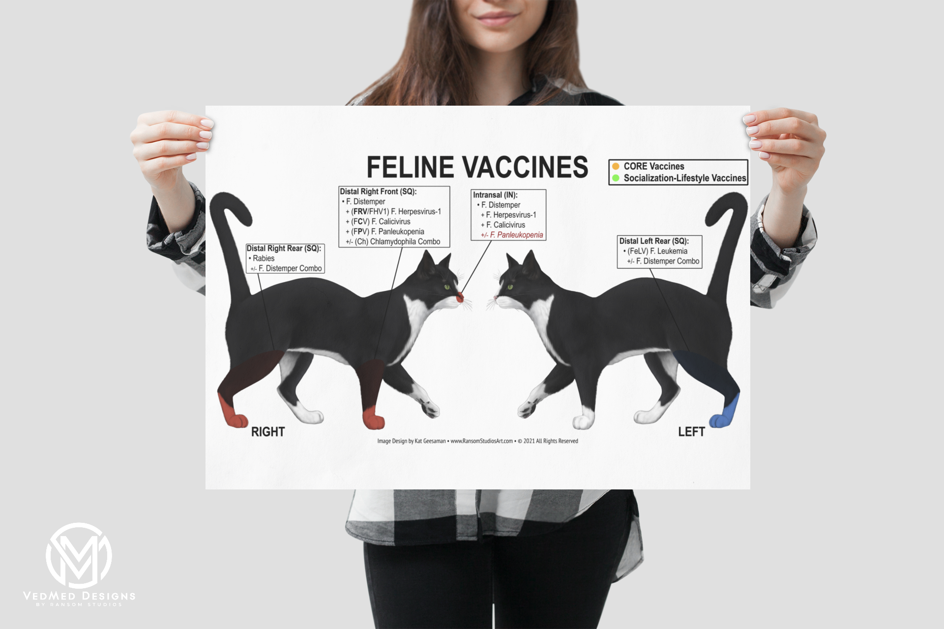 Feline Vaccine Location Poster