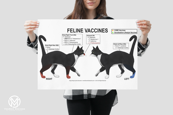Feline Vaccine Location Poster